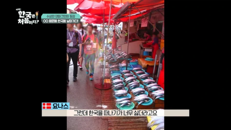 한국 너무좋아 덴마크인_16.webp