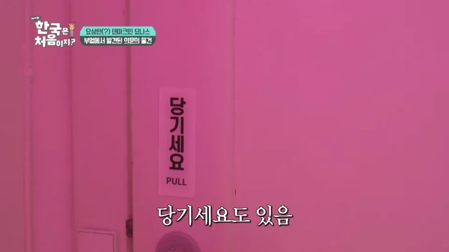 한국 너무좋아 덴마크인_25.webp