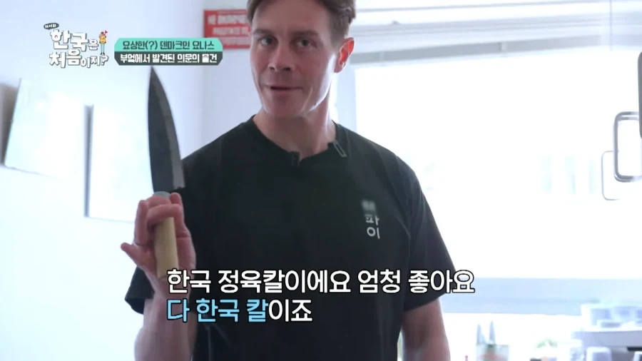 한국 너무좋아 덴마크인_26.webp