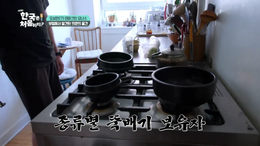한국 너무좋아 덴마크인_33.webp