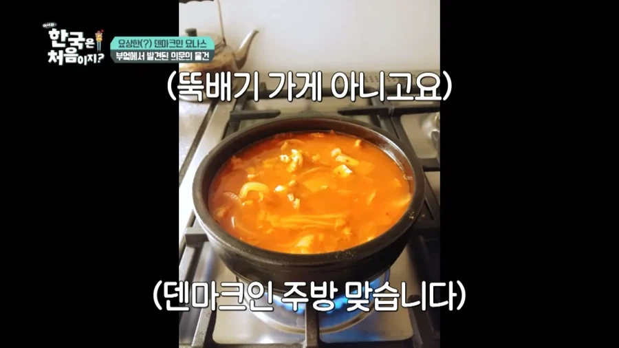 한국 너무좋아 덴마크인_34.webp