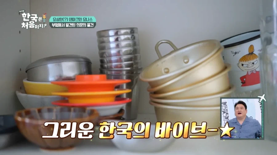 한국 너무좋아 덴마크인_35.webp