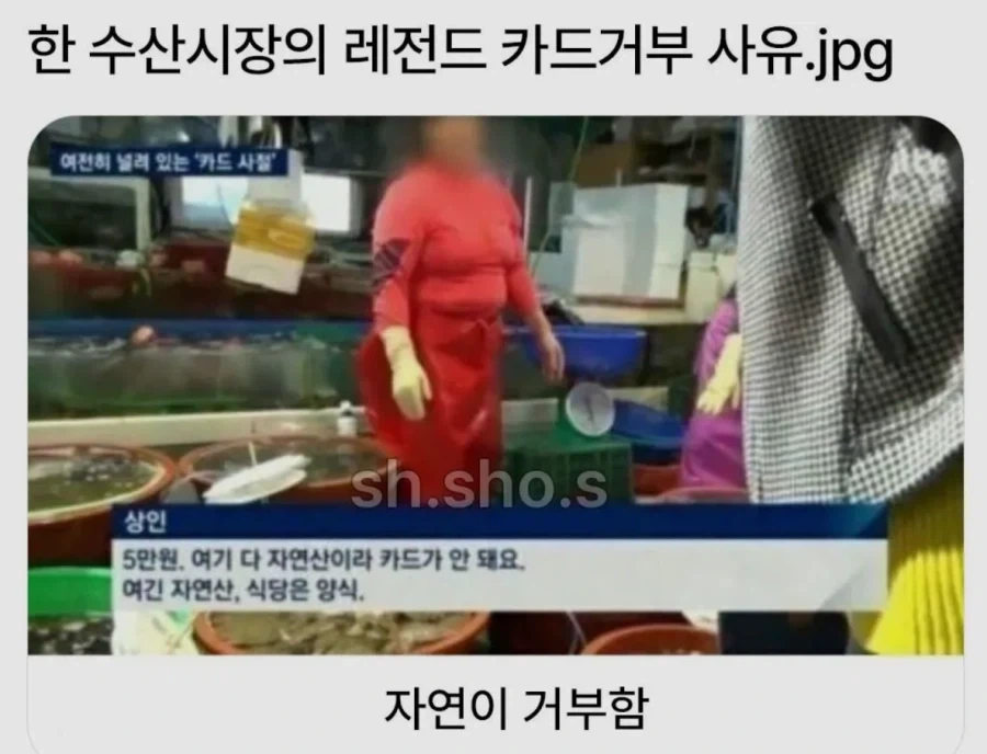 수산시장 말퓨리온_1.webp