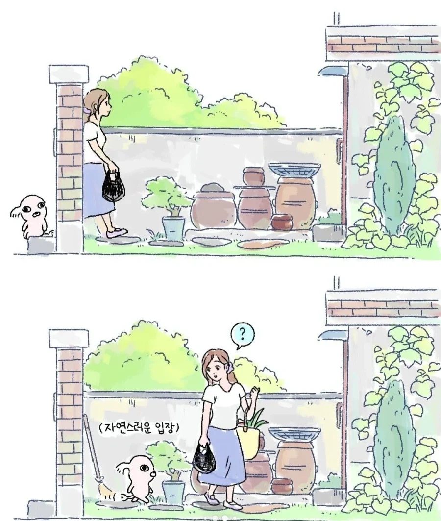 갑자기 찾아온 모르는 강아지_3.webp