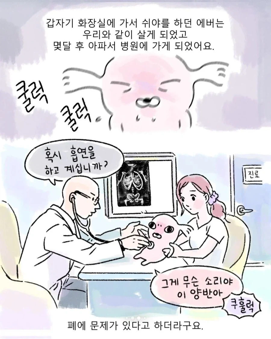 갑자기 찾아온 모르는 강아지_7.webp
