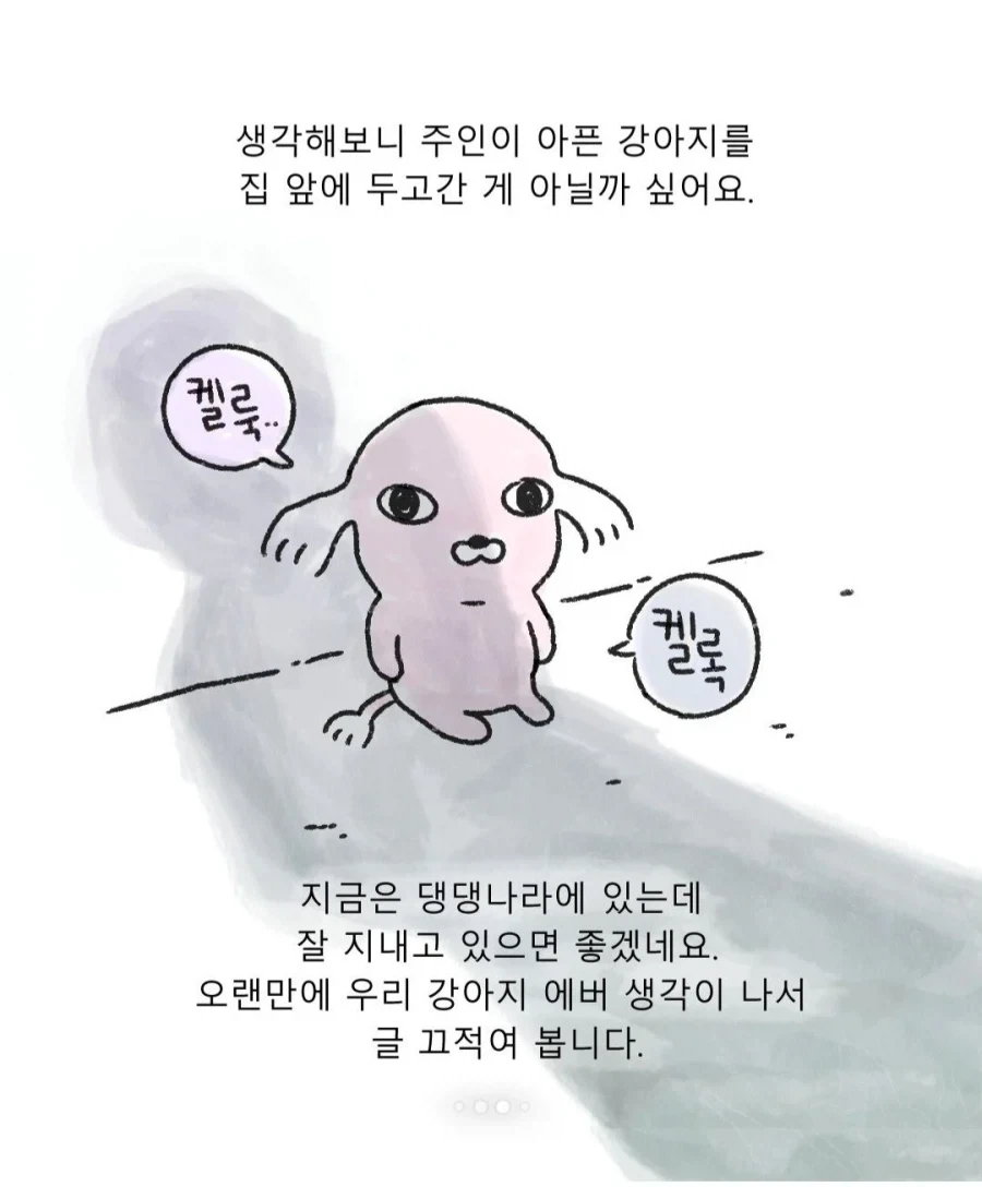 갑자기 찾아온 모르는 강아지_8.webp