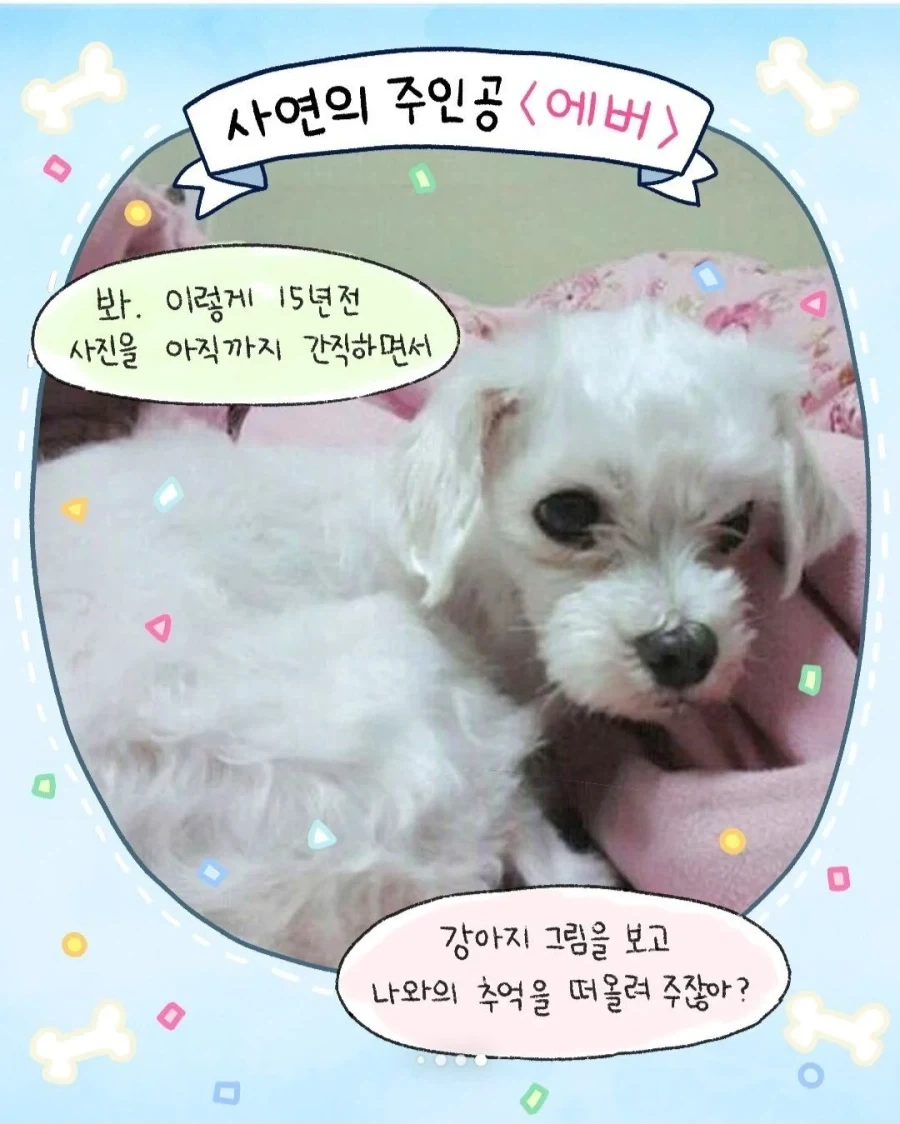 갑자기 찾아온 모르는 강아지_10.webp