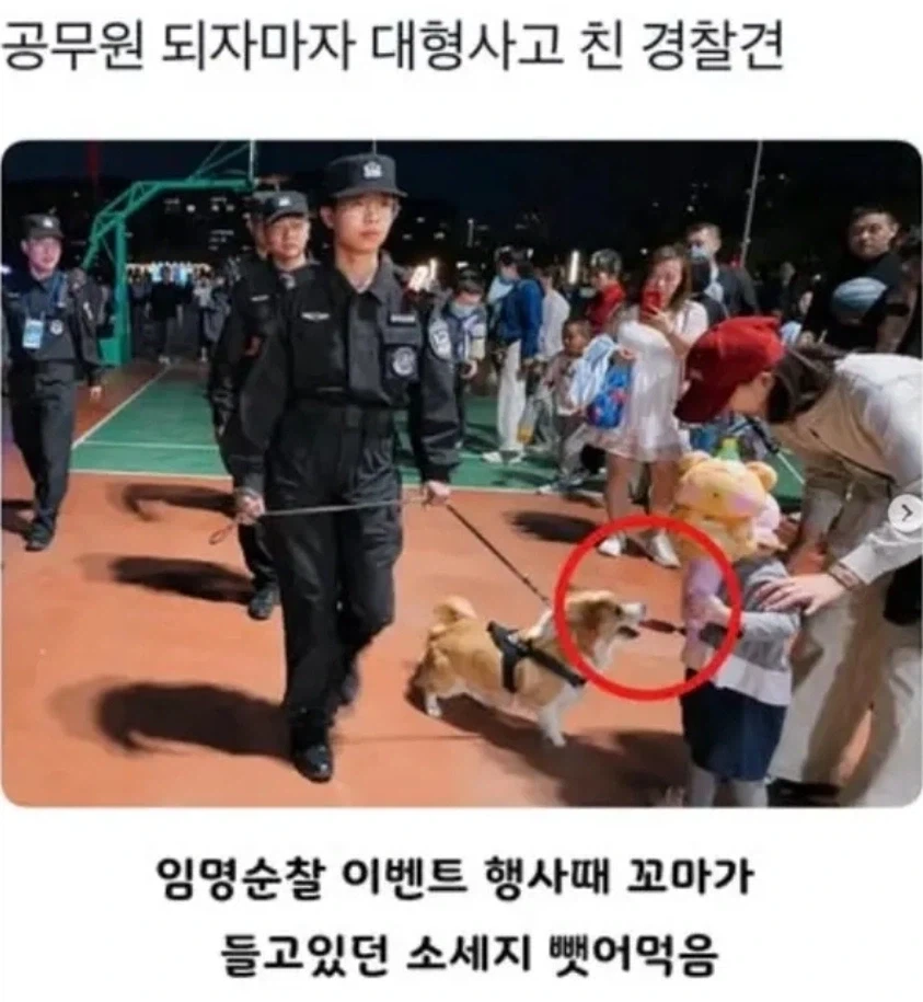 공무원 되자마자 대형사고 친 경찰견_1.webp