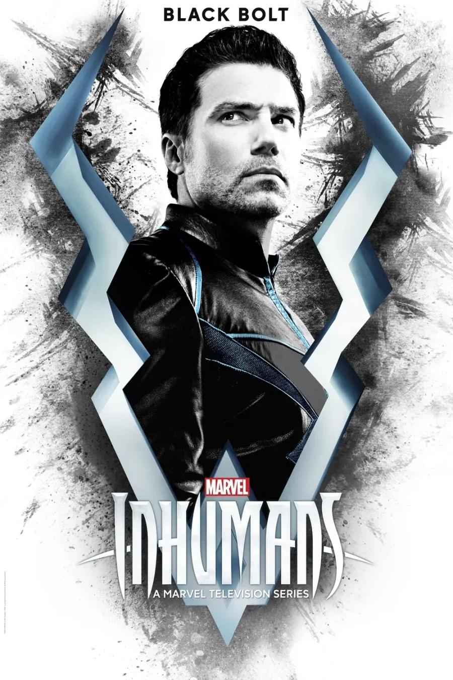 MCU)
