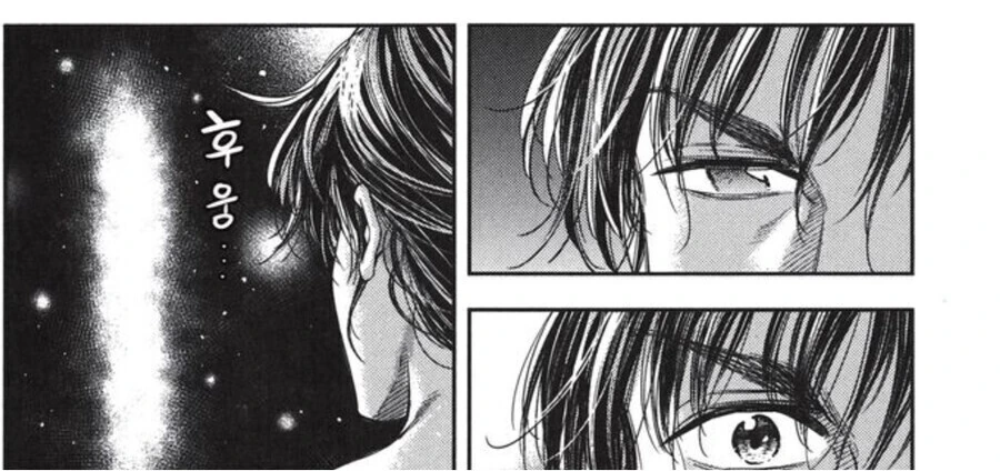 manga_3848585_012.webp