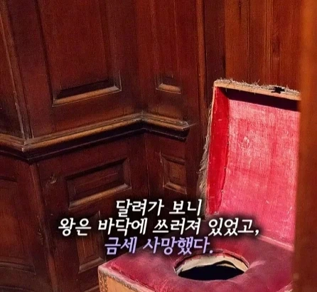 똥 싸다 죽은 왕.jpg_9.webp