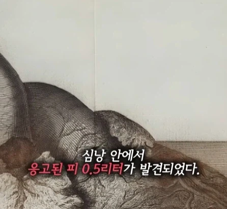 똥 싸다 죽은 왕.jpg_12.webp
