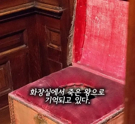 똥 싸다 죽은 왕.jpg_15.webp