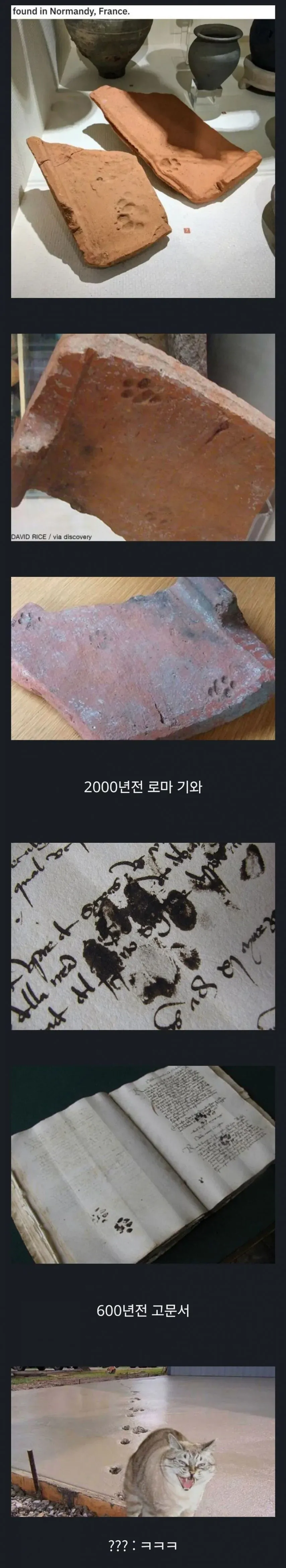 수천년간 똑같은 짓을 하는 동물.jpg_1.webp