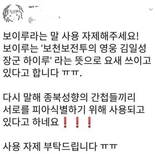 다시봐도 무서운 보이루 말뜻_1.webp