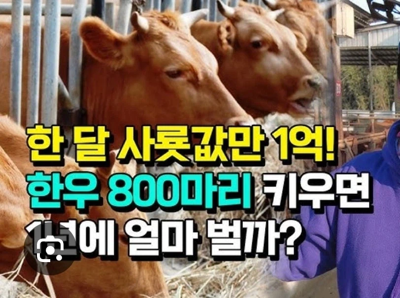 소 키우는게 힘든 이유_1.webp