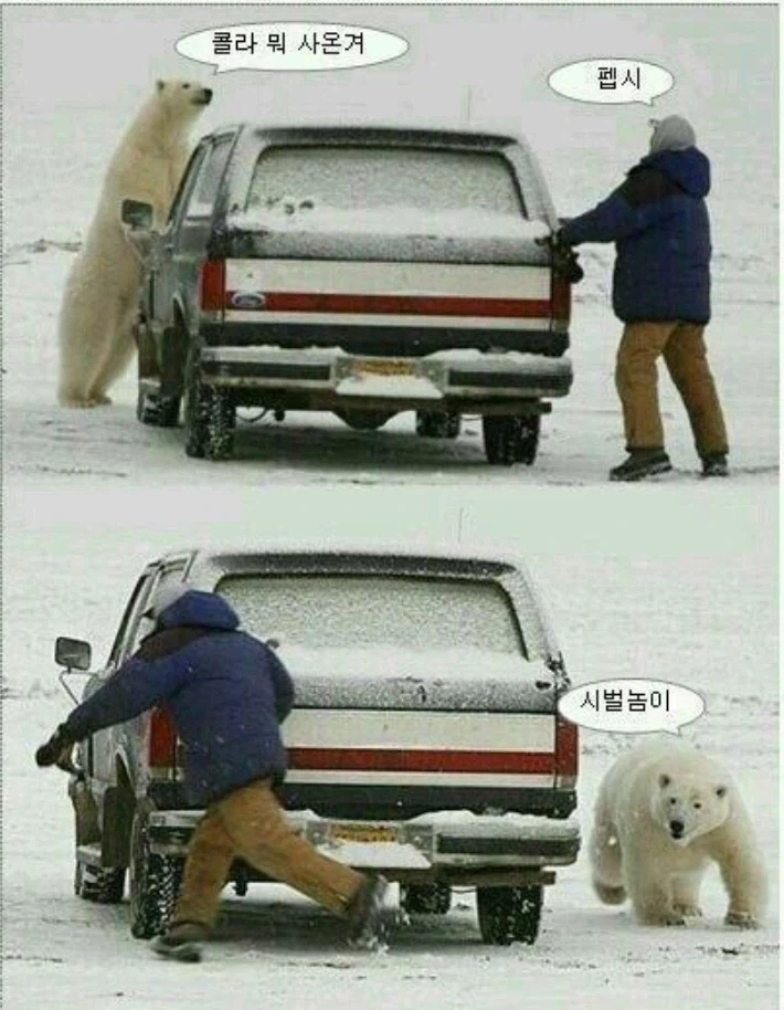콜라를 원하는 북극곰_1.webp