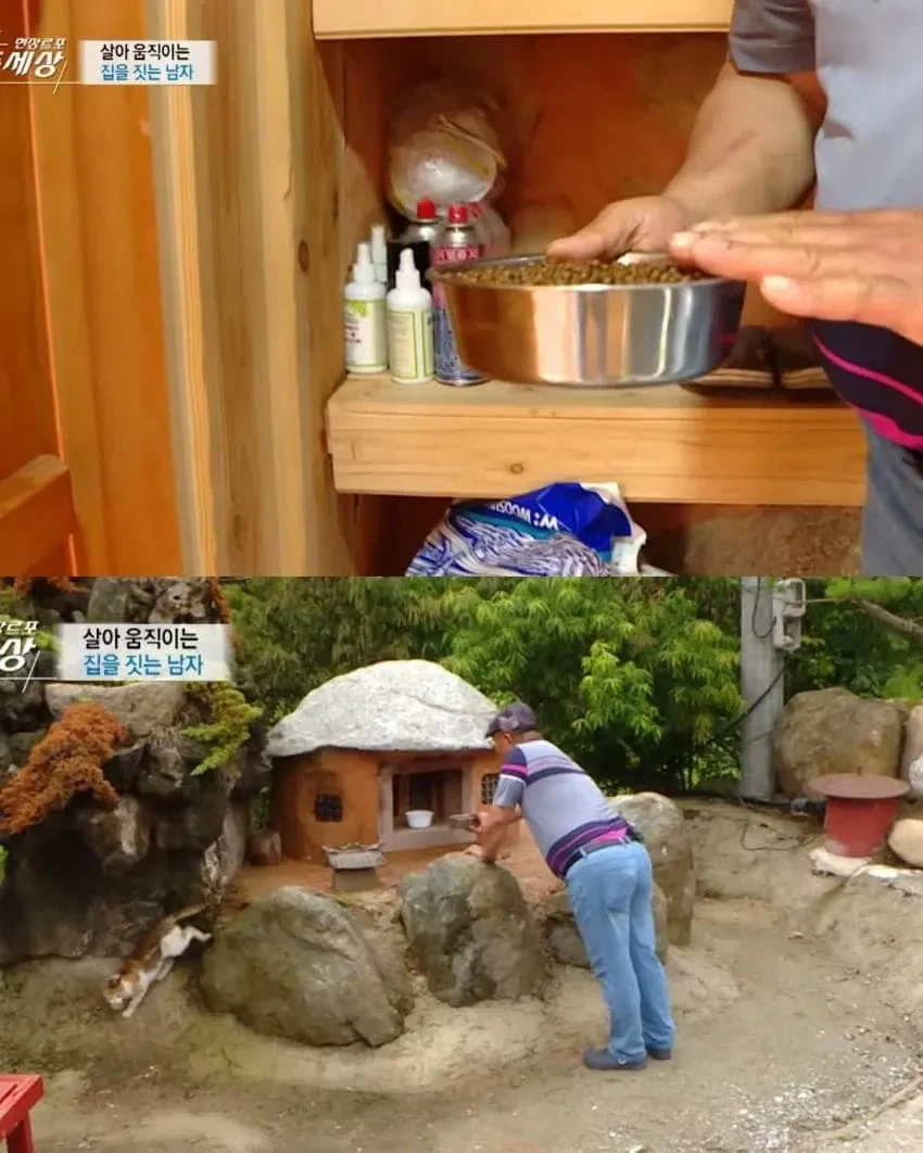 남이 만든집에 스쿼팅하는_1.webp