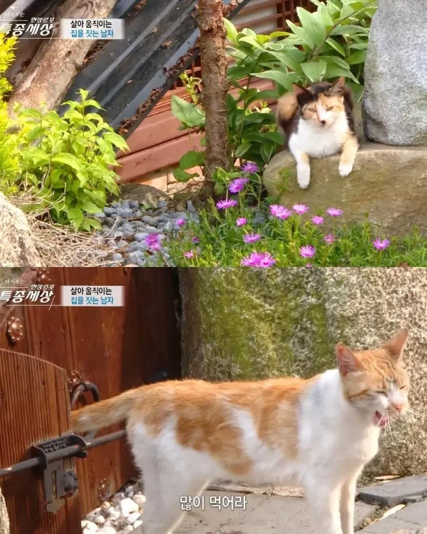 남이 만든집에 스쿼팅하는_2.webp