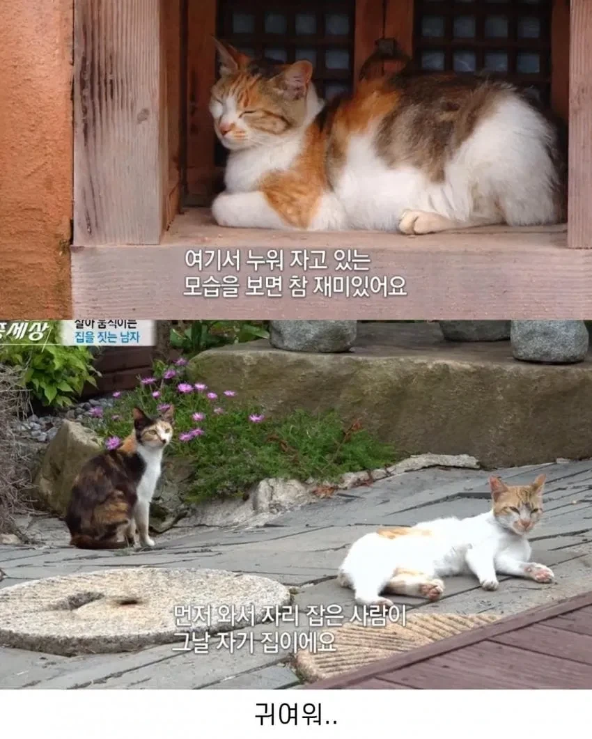 남이 만든집에 스쿼팅하는_5.webp