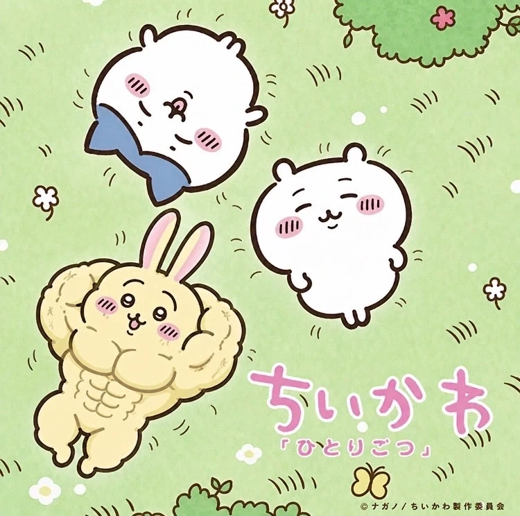 치이카와.jpg_1.webp