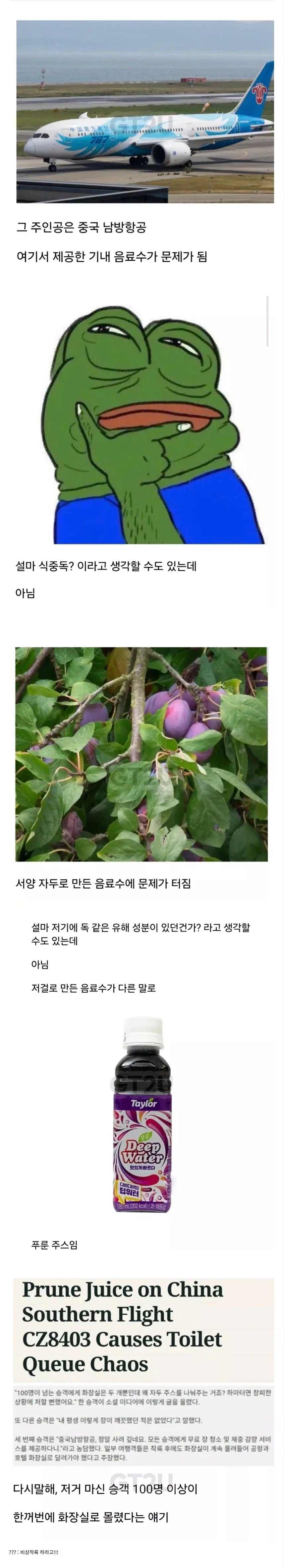 중국 항공사 기내식 대참사_1.webp