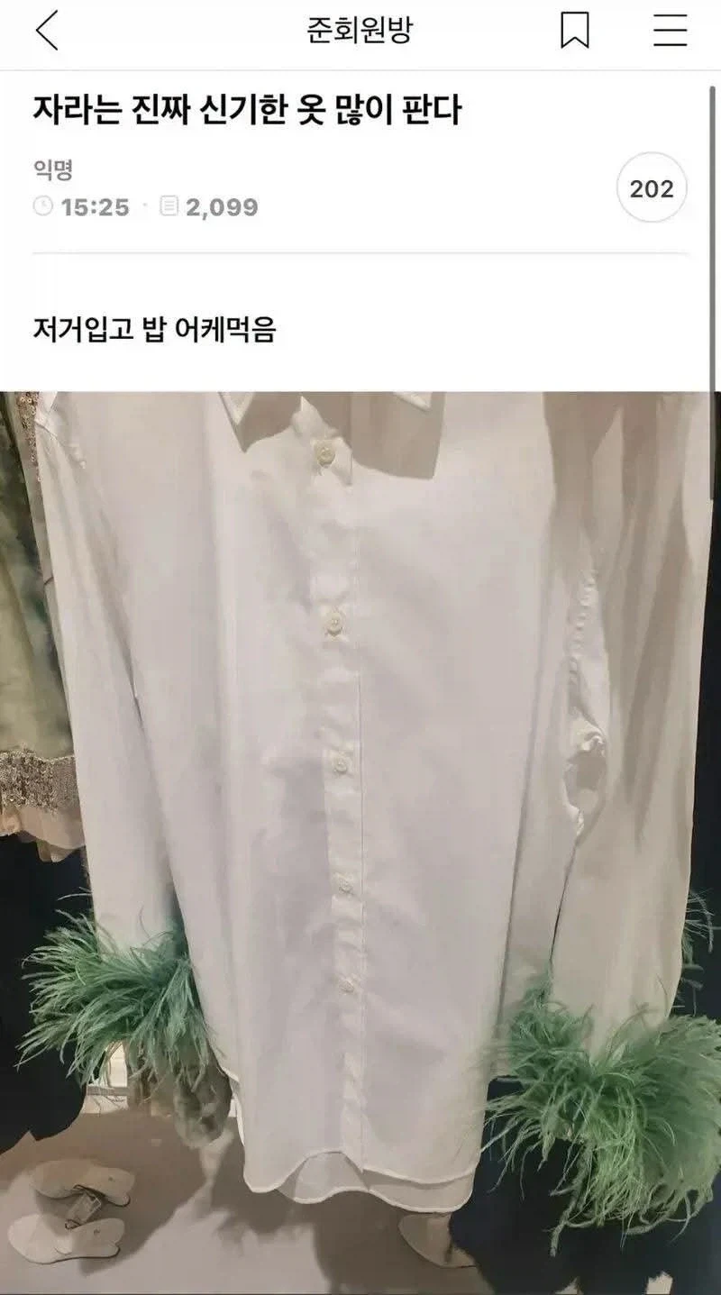 자라는 진짜 신기한 옷 많이 판다.jpg_1.webp