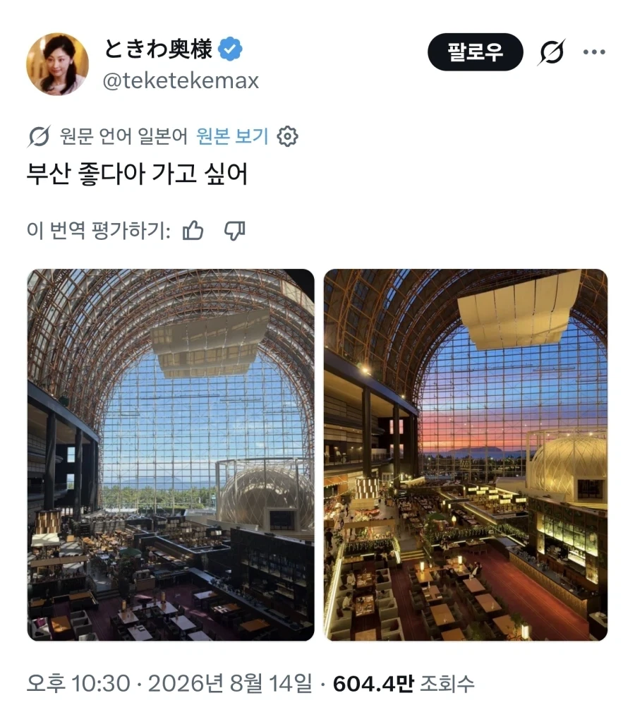 한국인들은 자동번역에 또 속았습니다_1.webp