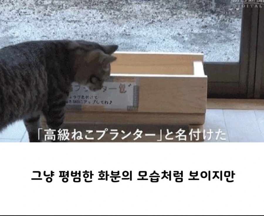 발상의 전환으로 위기를 기회로 바꾼 중소기업 상품_1.webp