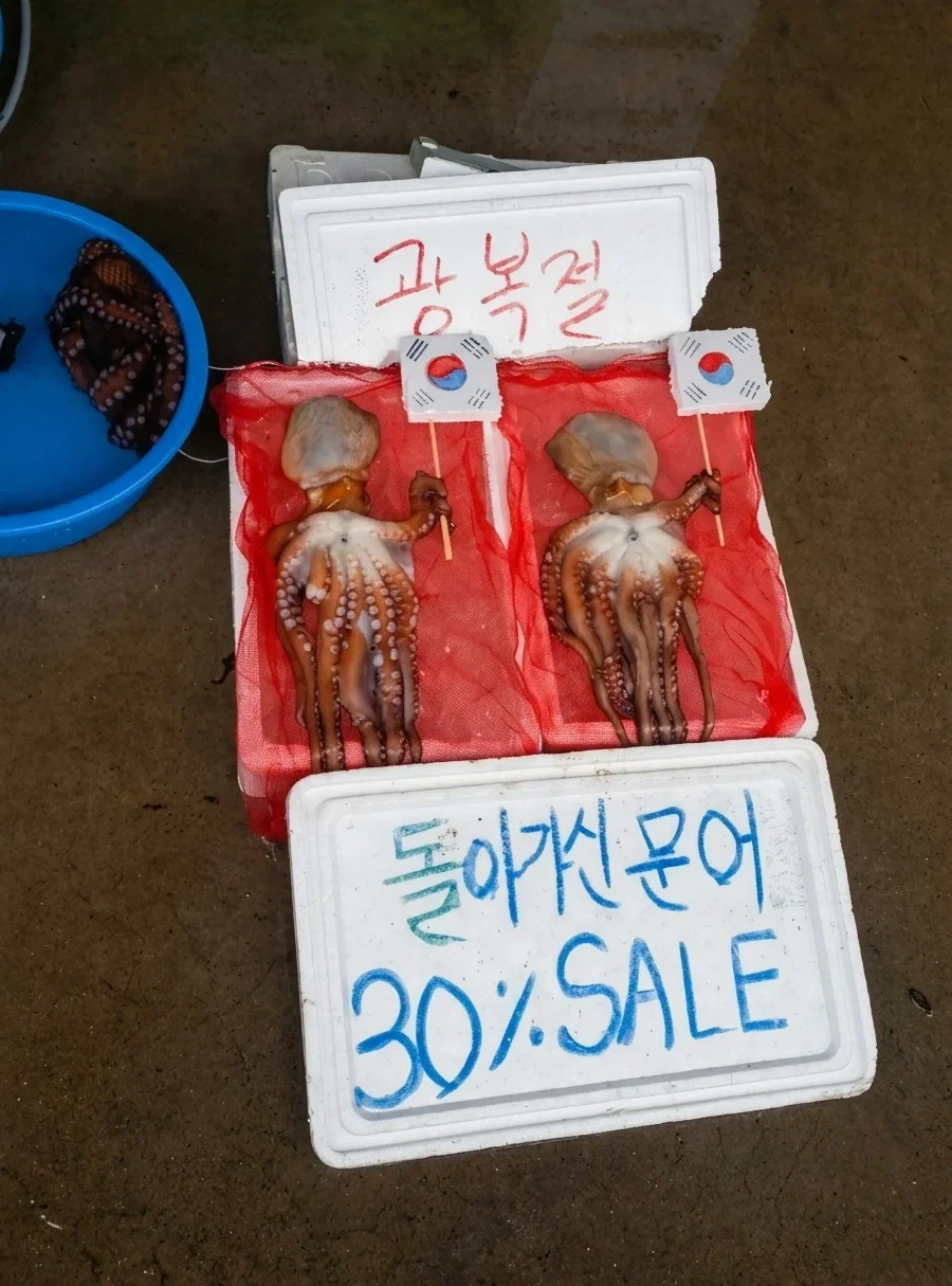 광복절에 잡힌 문어.jpg_1.webp