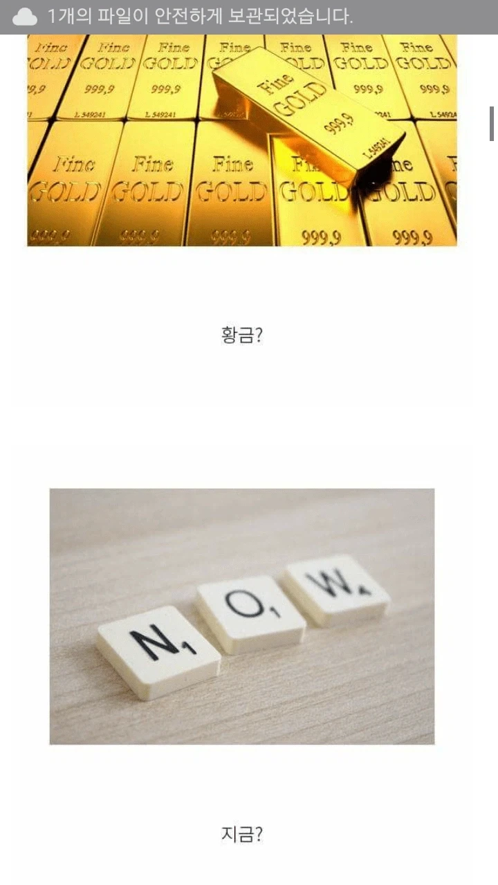 세상에서 가장 소중한 금.jpg_2.webp