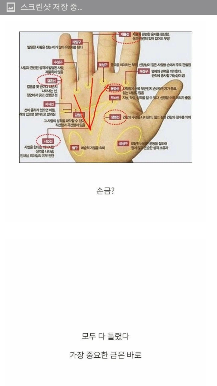 세상에서 가장 소중한 금.jpg_3.webp