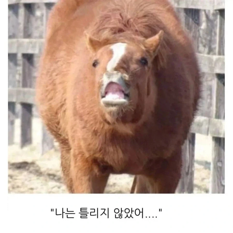 중세시대 말 그림_3.webp
