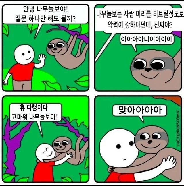 나무늘보는 사람머리를 터트릴정도로 악력이 강하다는게 진짜야?_1.webp