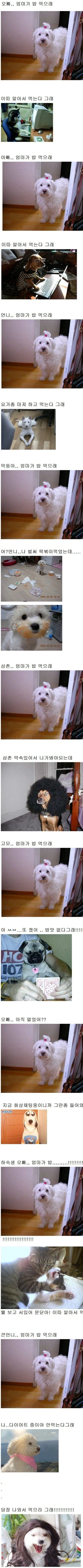 오빠 엄마가 밥 먹으래.jpg_1.webp