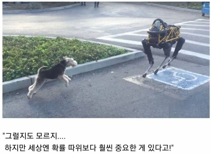 네가 이길 확률 0%.. 크큭 그런데도 덤비겠다는거냐!?_1.webp