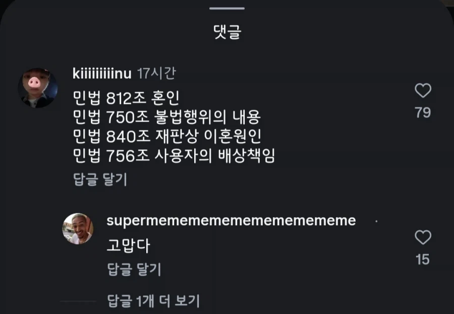 혹시 나랑 민법 812조 할래?.jpg_2.webp
