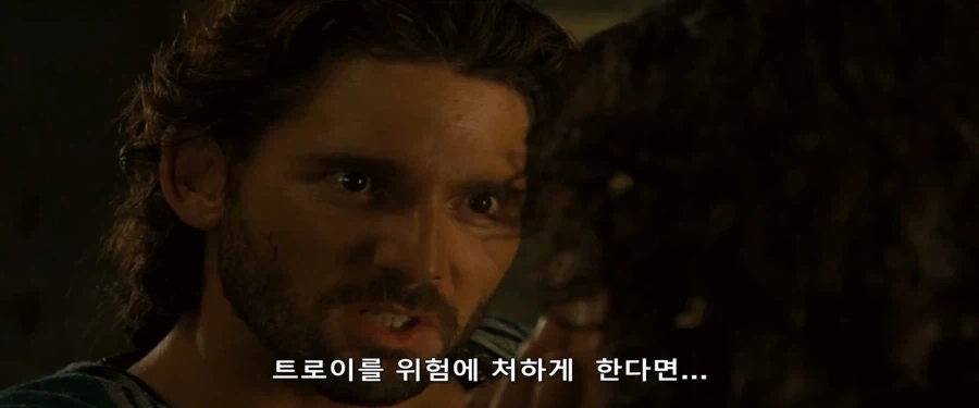 트로이)마침내 트로이를 정복했던 아가맴논_4.webp