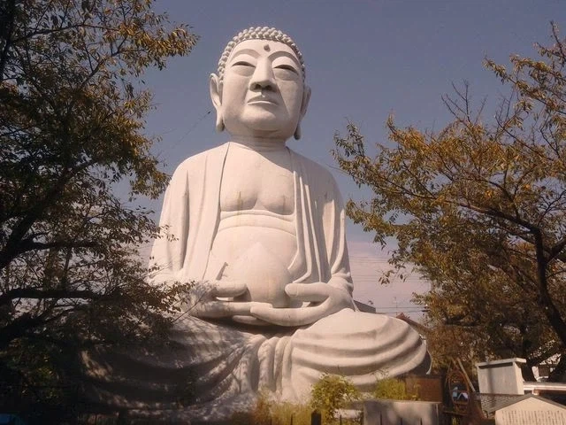고글유무_2.webp