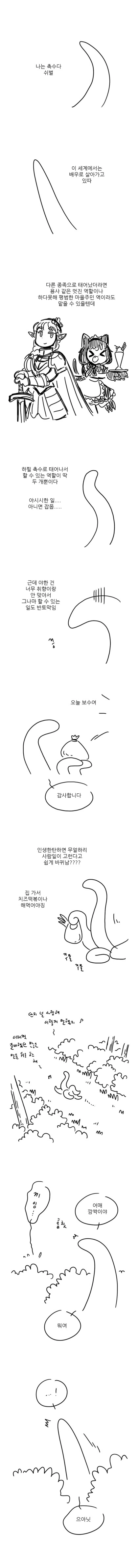 manga_1989810_001.webp
