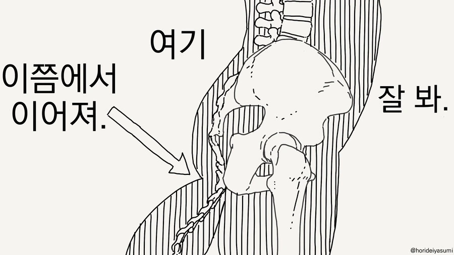 꼬리 보여주는 만화_4.jpg