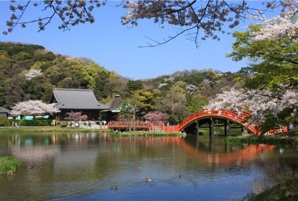 한국인은 안오는 일본의 관광명소.jpg_2.webp
