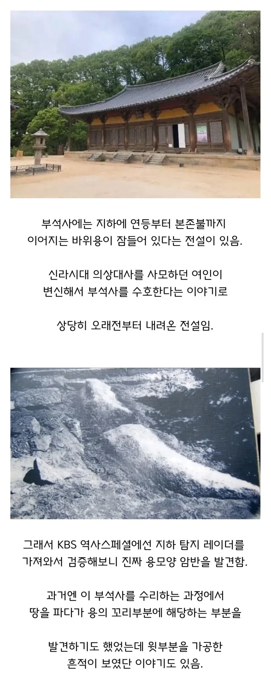 용이 잠들어있다는 한국의 절.jpg_1.webp