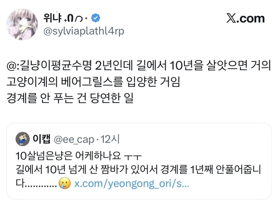 길고양이 입양했는데 경계를 안품.jpg_3.webp