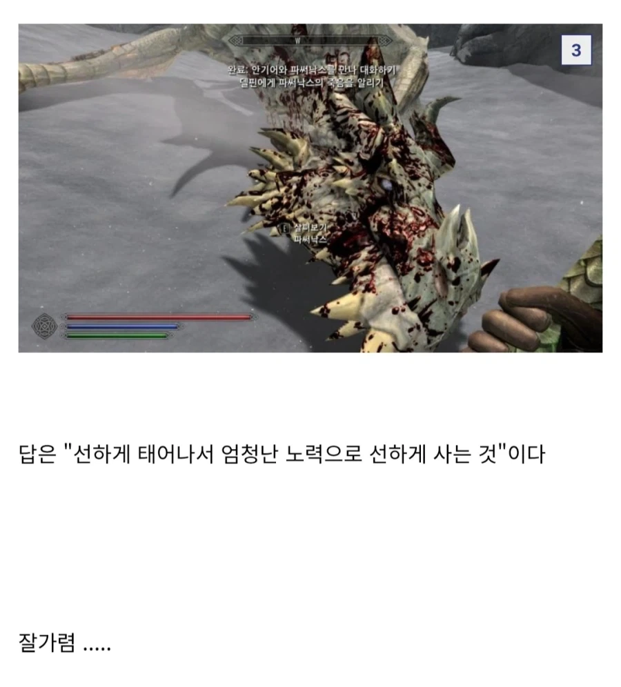 다시봐도 멋있는 스카이림 명대사.jpg_2.webp