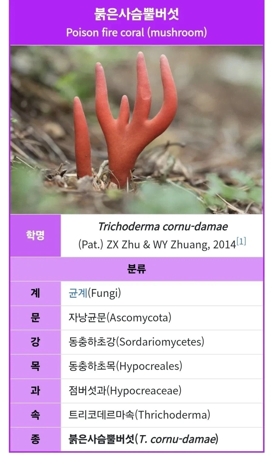 버섯산업기사 실기 후기_2.webp
