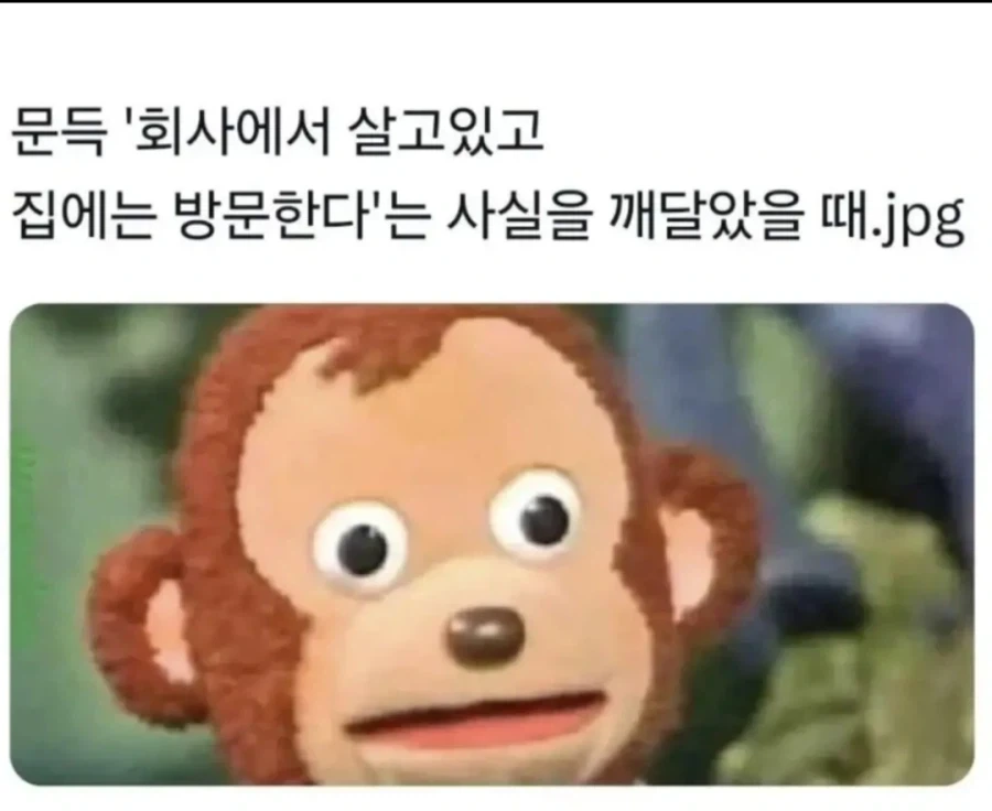 회사 다니면 깨닫게 되는 것_1.webp