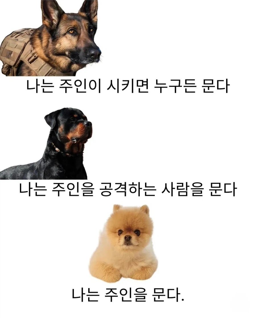 군견/경비견/애완견 차이_1.webp