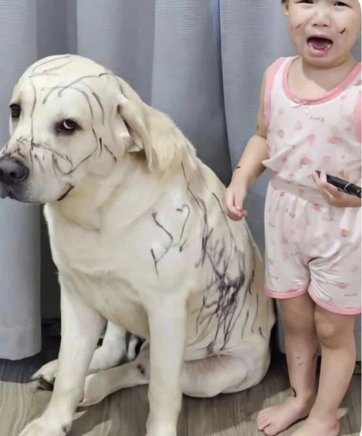 개빡친 댕댕이_1.webp