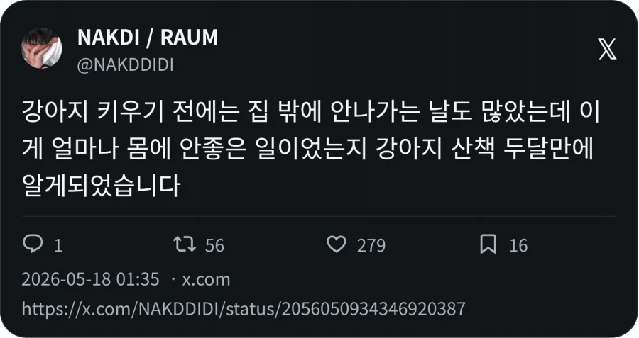 강아지 키우고 나서 알게된 점_1.webp